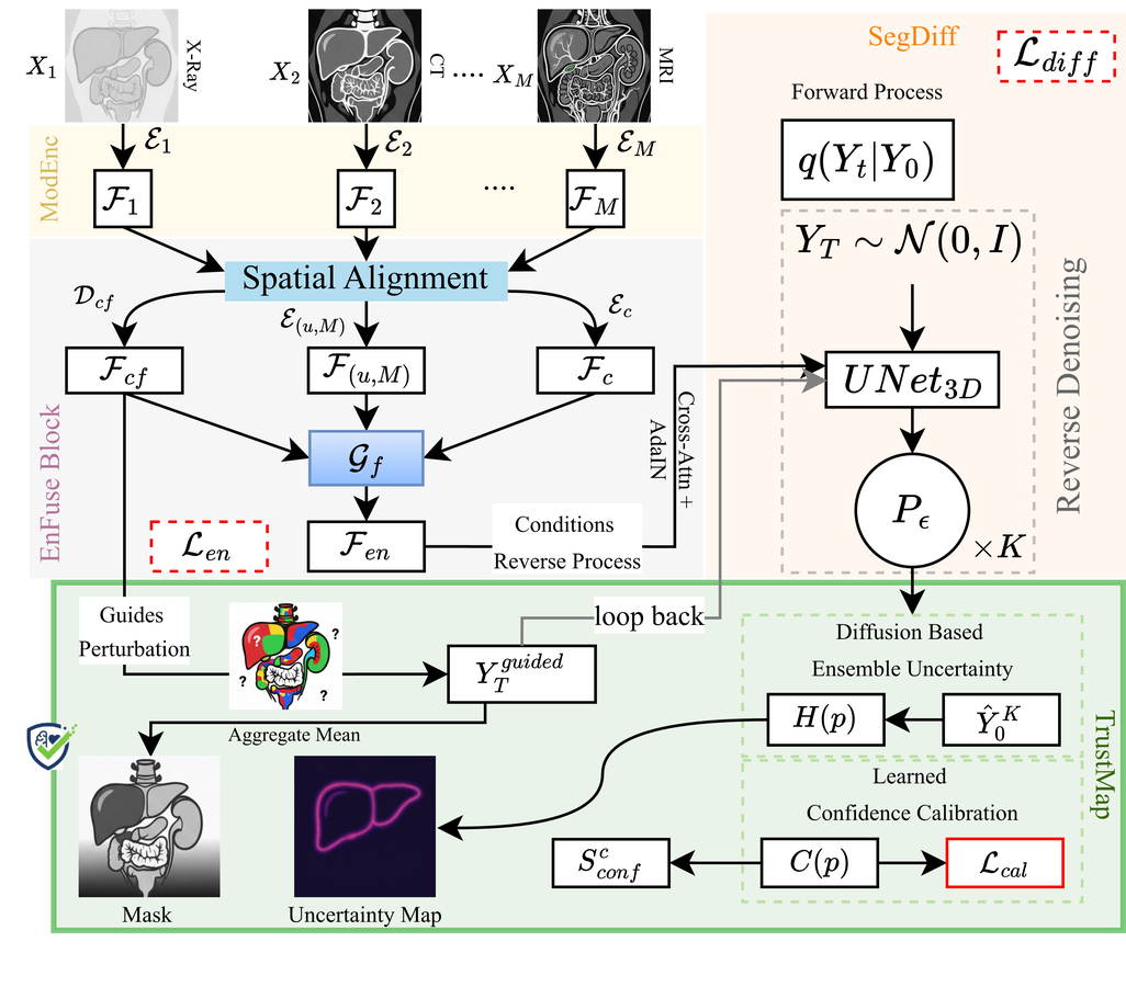 Modality encoders feed shared, unique and conflict features into diffusion segmentation and uncertainty estimation.